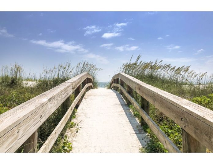 Untitled design (23)