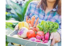 5 Maneras de Re-entrenar tus Papilas Gustativas